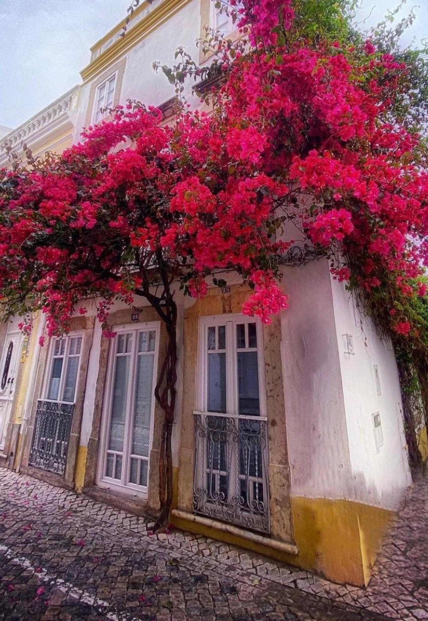 Chic Suite Sequa In Taviras Historical Centre エクステリア 写真